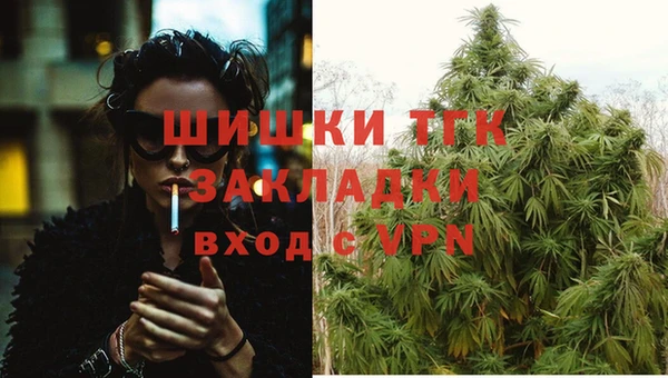стафф Волосово