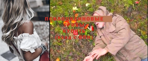 стафф Волосово