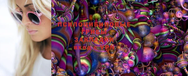 стафф Волосово