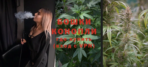 стафф Волосово